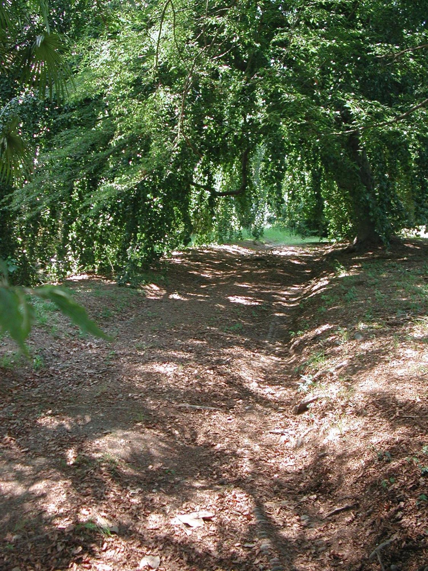 B&B Villa Cernigliaro Dimora Storica Sordevolo Bagian luar foto